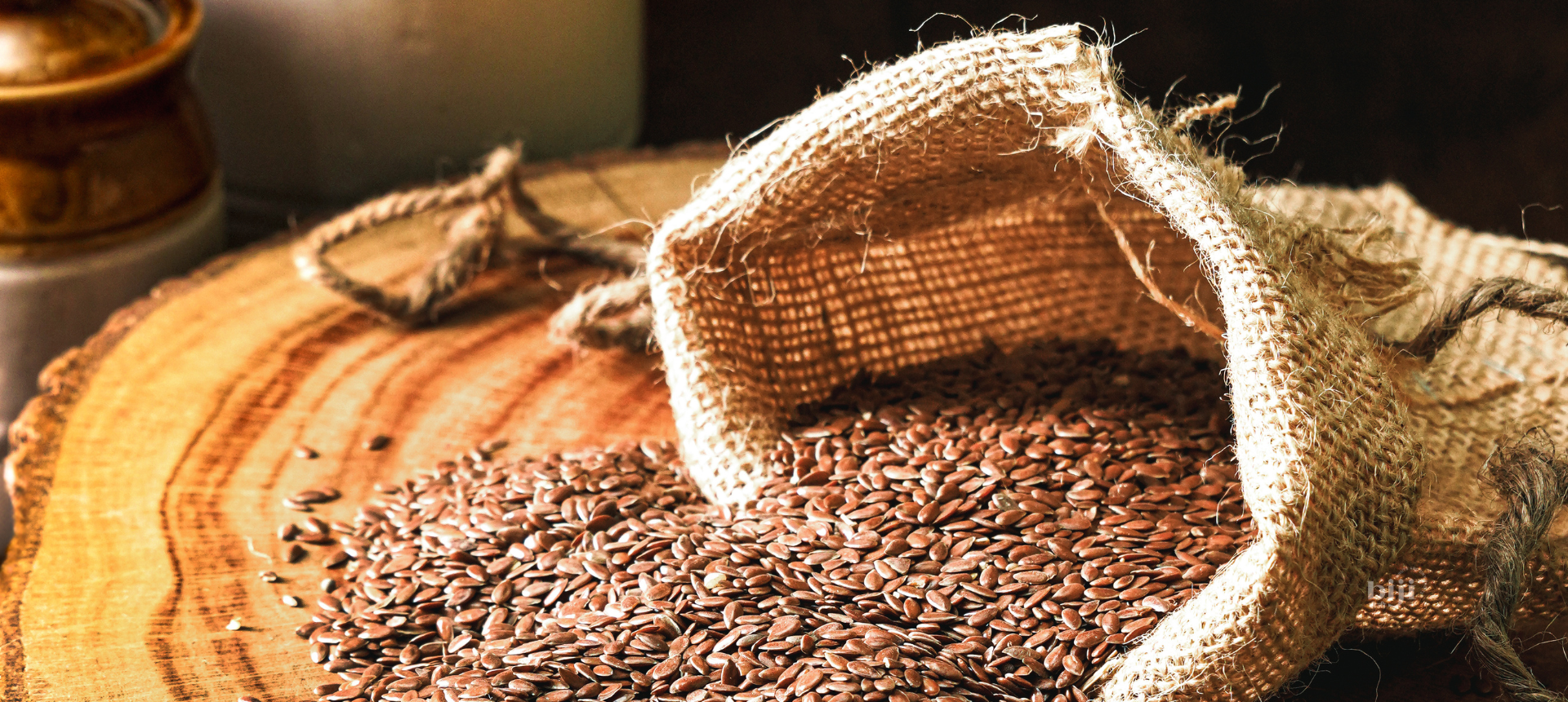 Seeds